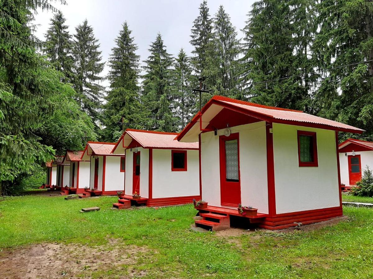 Casute Valea Zanelor Hotel Covasna Exterior photo
