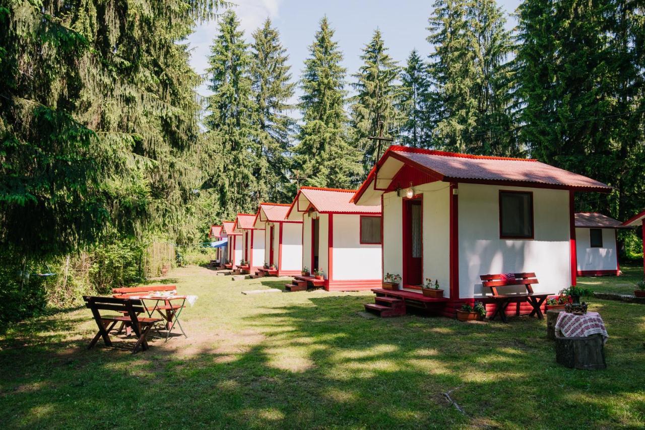 Casute Valea Zanelor Hotel Covasna Exterior photo